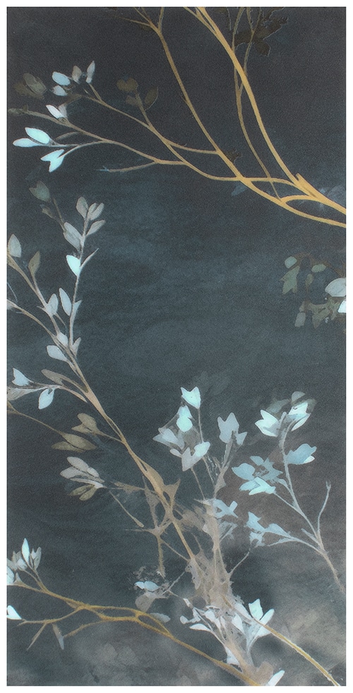 TRC - PS - LR - Gossamer Vines - Nightfall - Dolomite_ Gossamer Vines